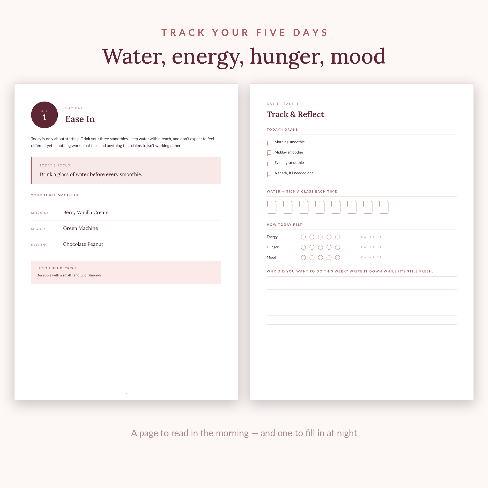 The 5-Day Smoothie Reset — Printable Challenge & 15 Recipes